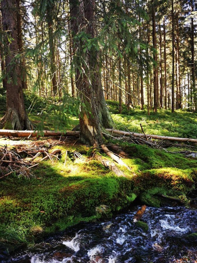 Chillout-Aparts Świeradów-Zdrój Esterno foto